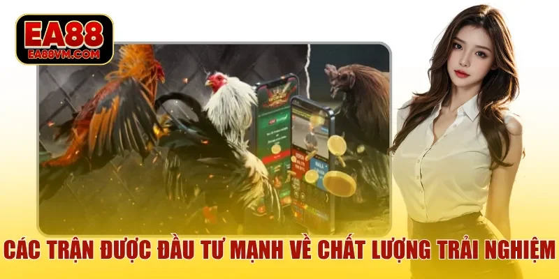 Các trận tranh tài được đầu tư mạnh về chất lượng trải nghiệm